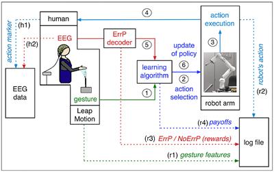 Errors in Human-Robot Interactions and Their Effects on Robot Learning